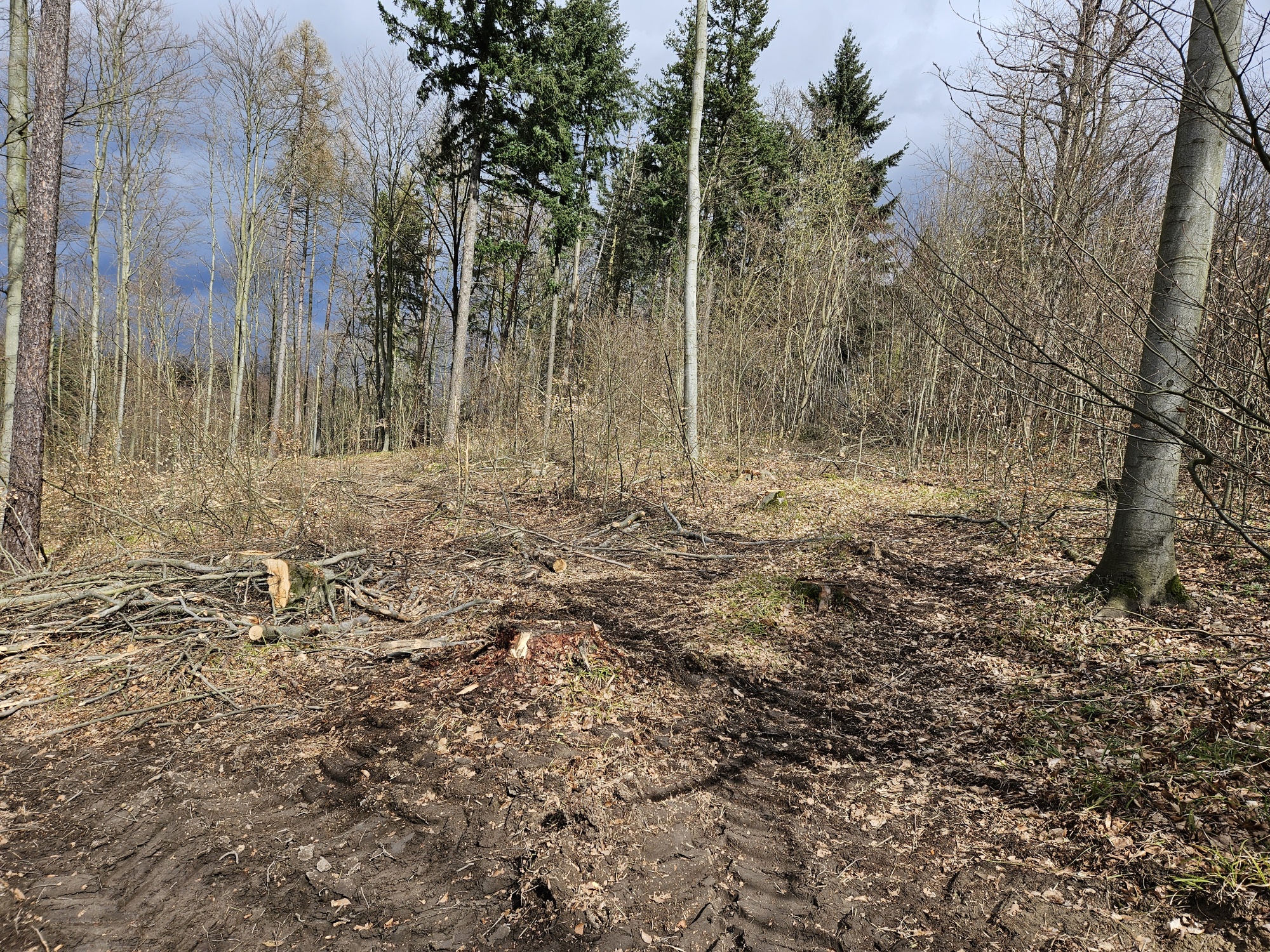 This image for Image Layouts addon